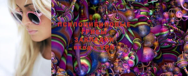 экстази Богородицк