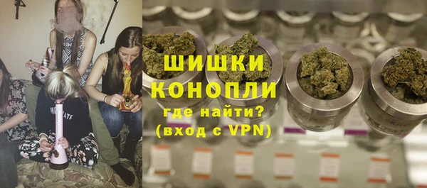 стафф Богородск
