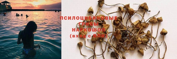 экстази Богородицк